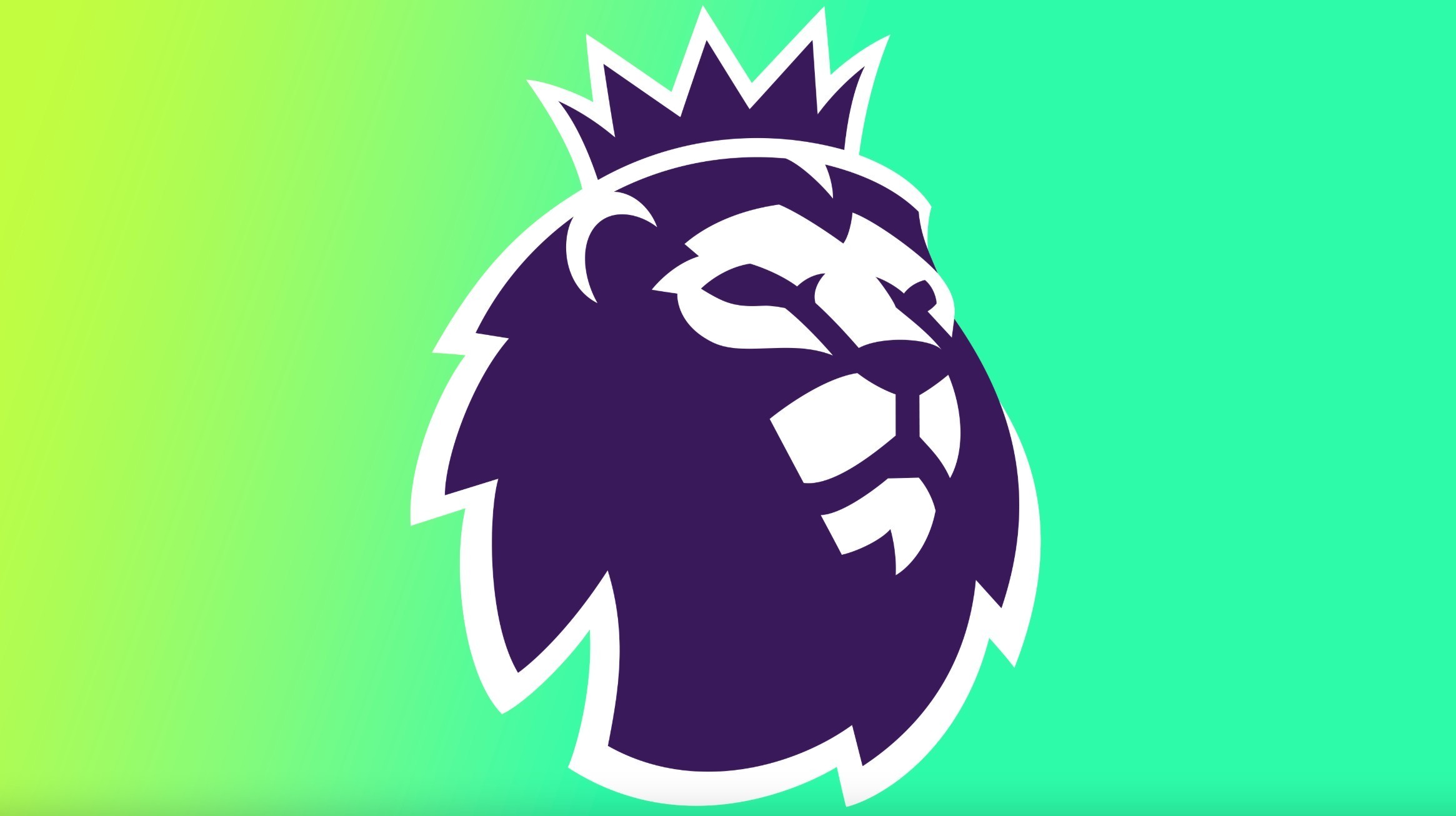 我们期待在 我们期待在