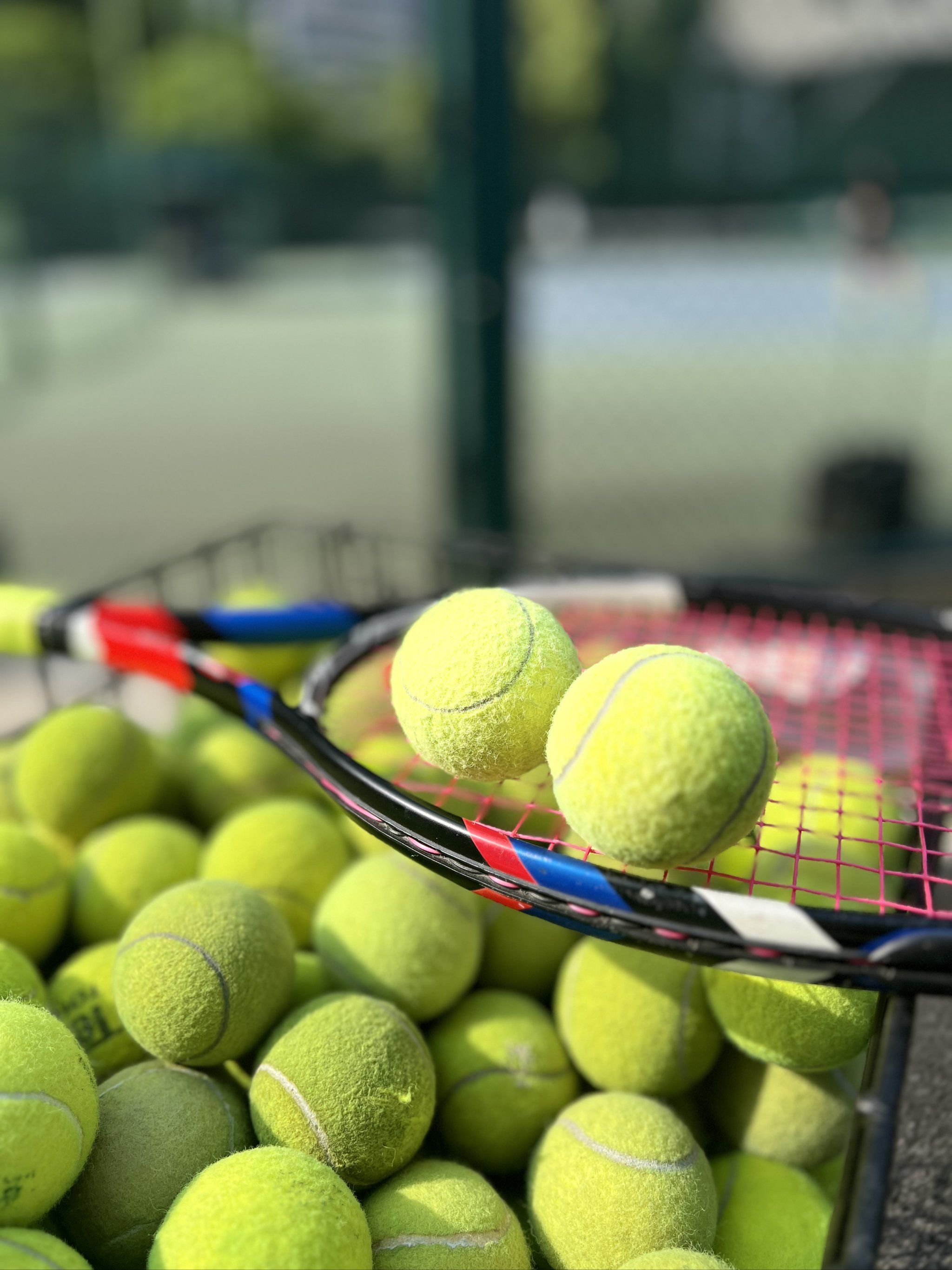 功的关键 功的关键