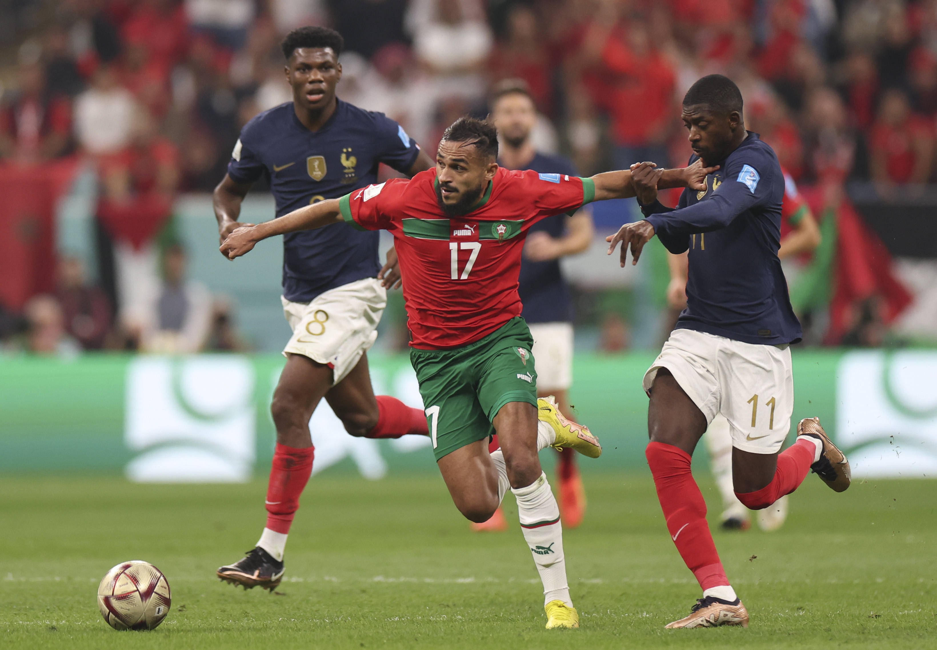 期待在未来 期待在未来